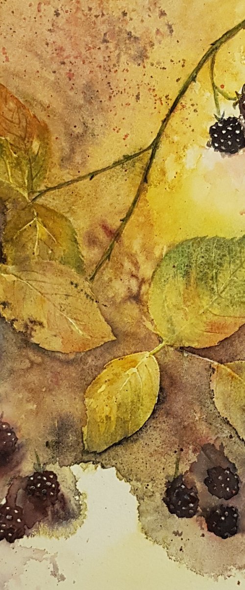 Autumn Blackberries by Michele Wallington