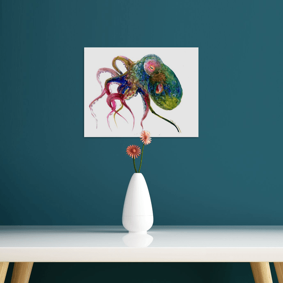 Colorful Octopus