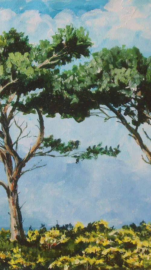 Pines on Sky Hill - Isle of Man by Max Aitken