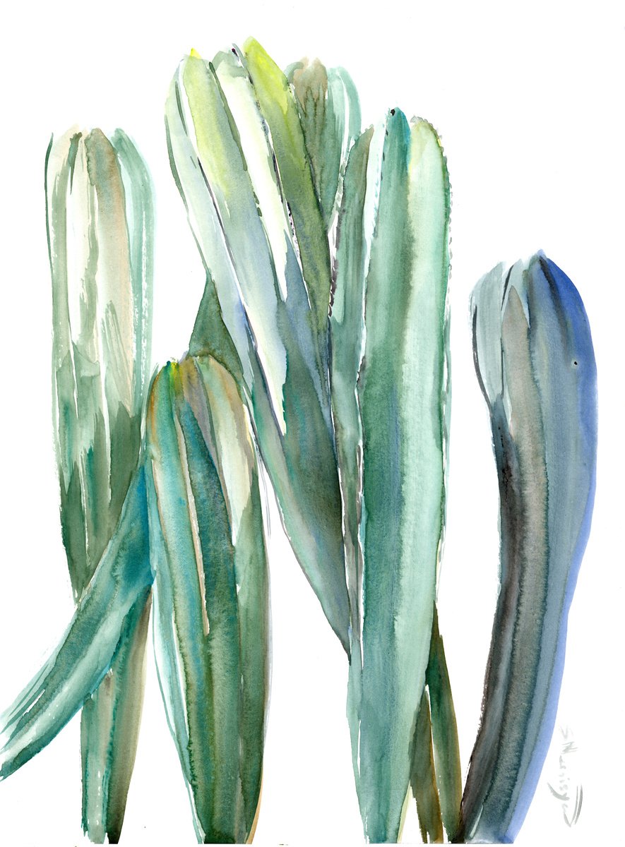 Cactuses by Suren Nersisyan