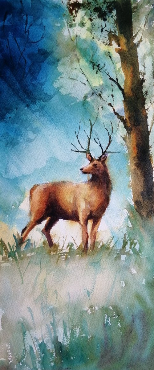 deer 8 by Giorgio Gosti