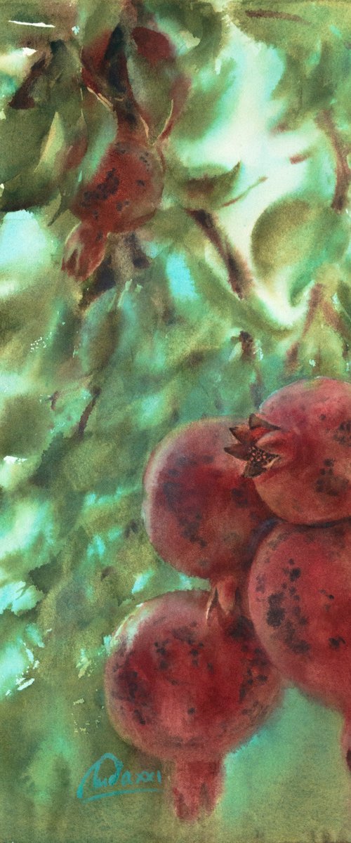 Pomegranate in the garden by Lida Duchnewitsch