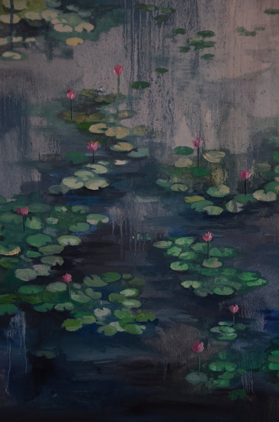 Lily pond. Petrichor