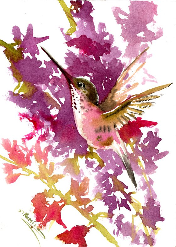 Hummingbird