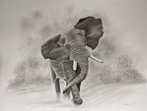 Running elephant by Maxine Taylor