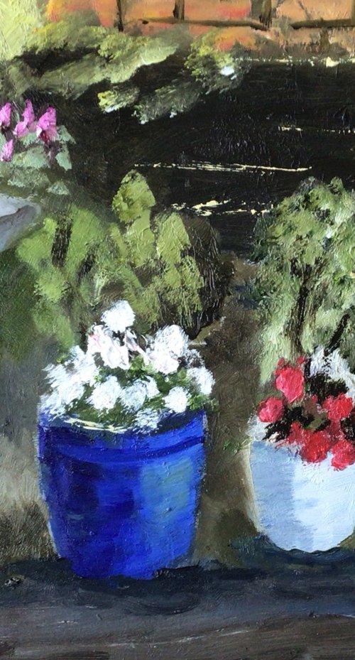 Pot plants at garden centre by Julian Lovegrove Art