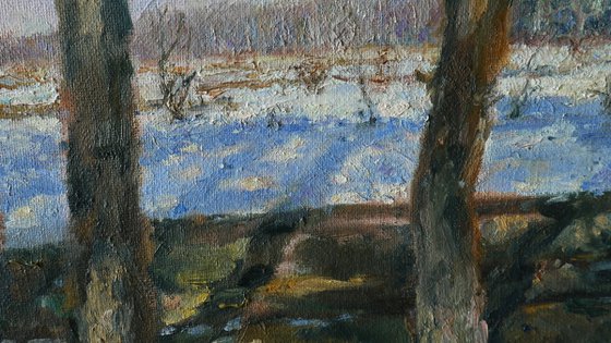 The Sunny Spring Day