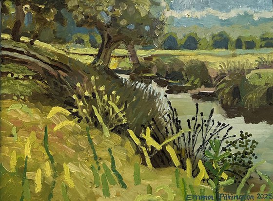 Beverley Brook Richmond Park