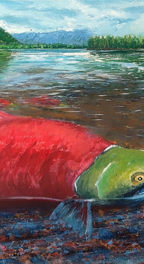 Journey of the Sockeye by Artem _Ar.Ko