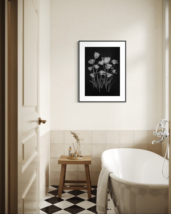 Tulips, Black and white flowers