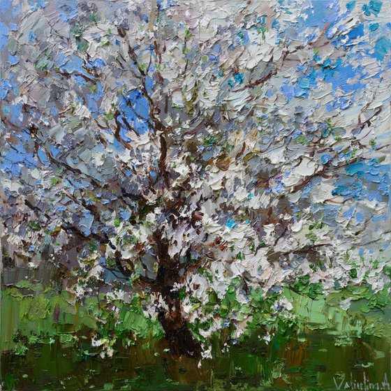 Flowering cherry tree - Original oil painting