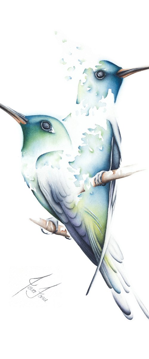 Hummingbirds by ieva Janu