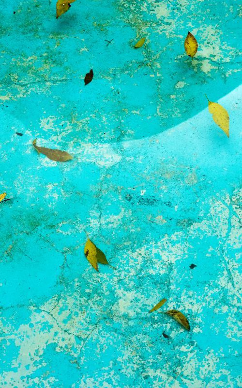 Leaves in blue pool by James Gritz