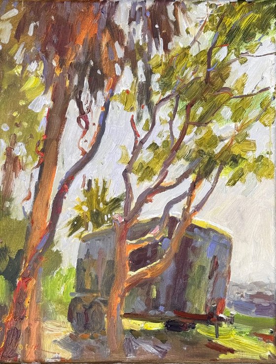 Under the Palm’s Shade