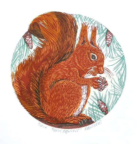 Red Squirrel 2/10 e.v