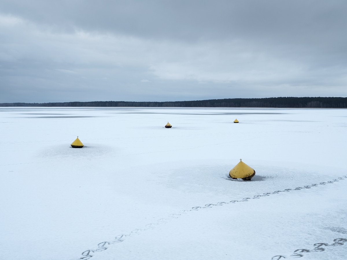 Winter Lake by Jacek Falmur