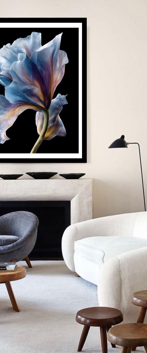 Botanical Grace 7 by MICHAEL FILONOW