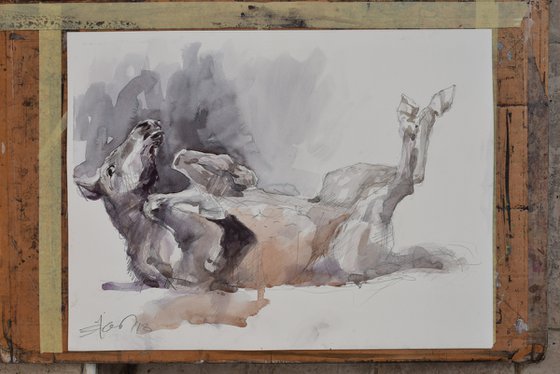 Horse study