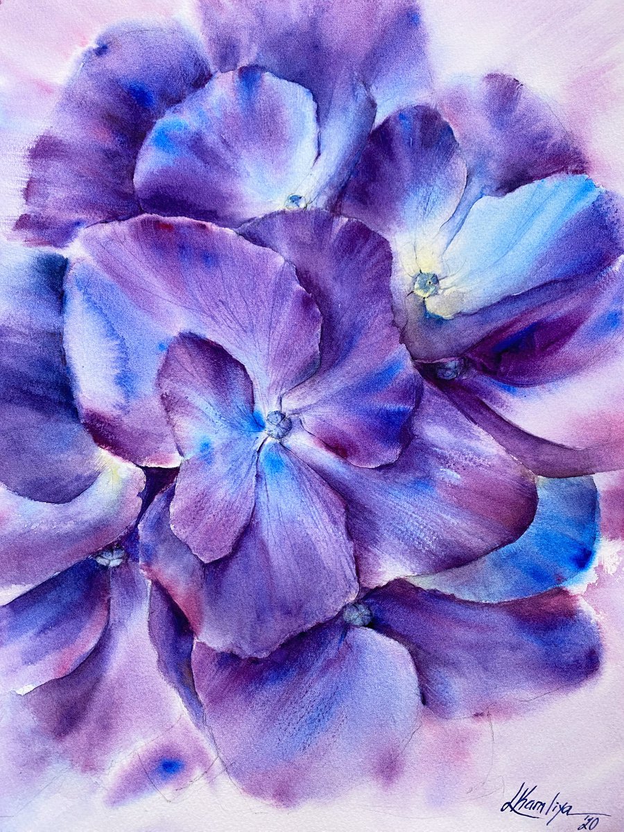 Impressionistic Watercolour , Galaxy Of Hydrangeas By Leyla Kamliya, 12 X 16, Artwork For Sale On Artfinder
