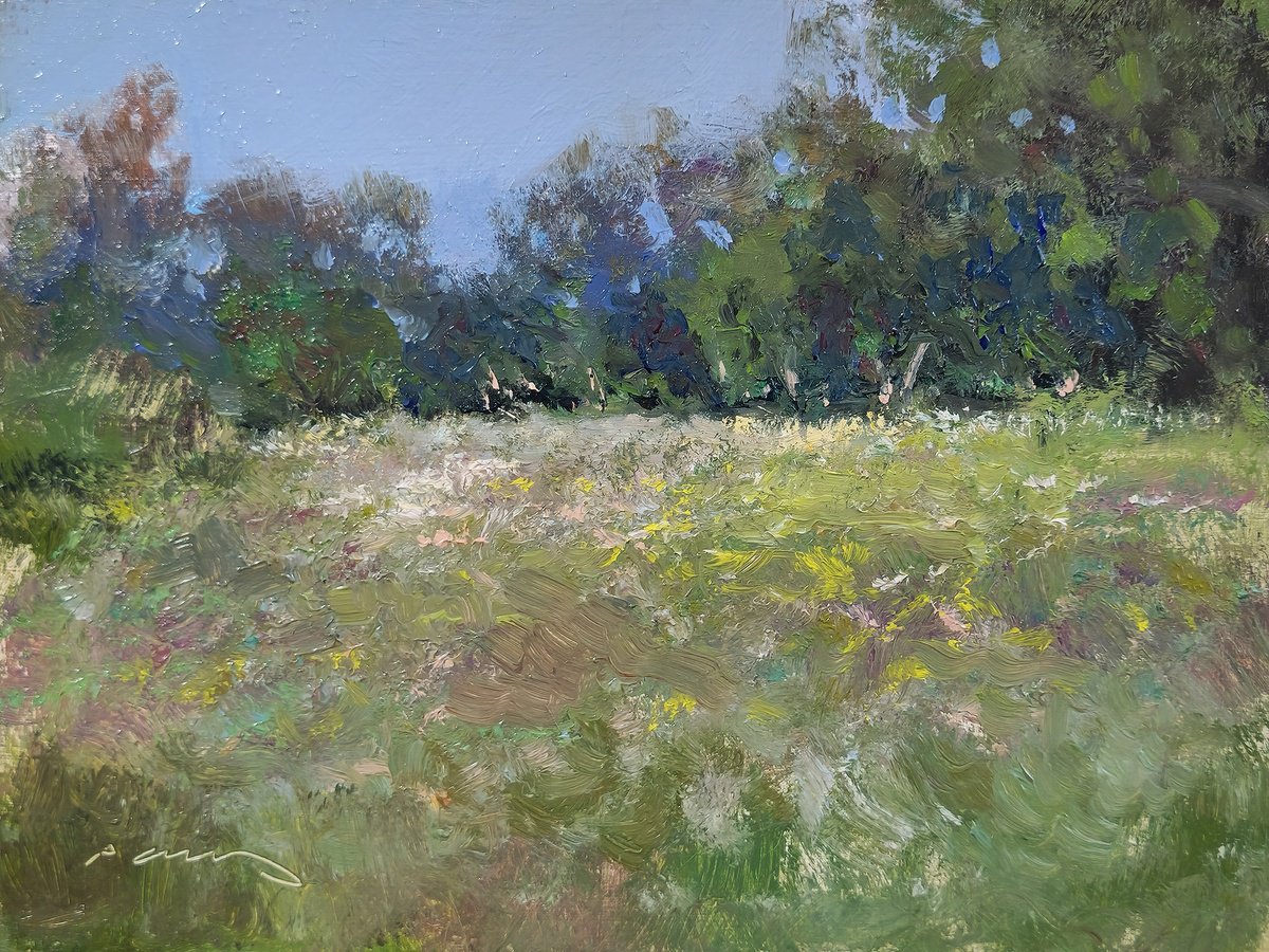 Impressionistic Landscape Oil Painting By Pascal Giroud, 8 X 6", Champs De St Jean, Original Artwork