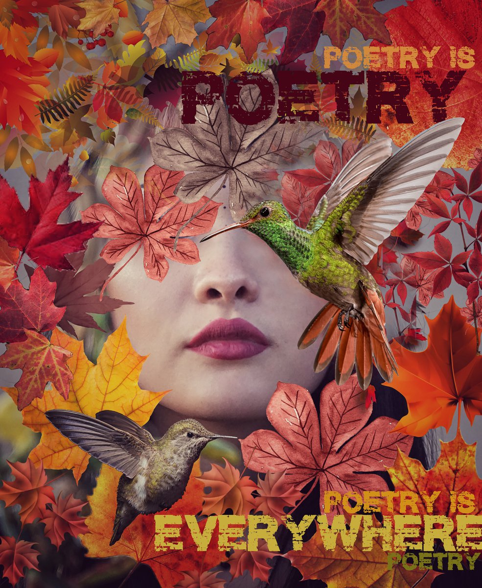 Miss Poetry by Carmelita Iezzi