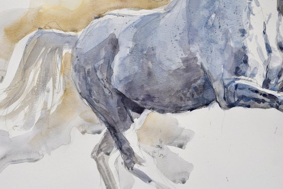 Running white  horse 5(70x50)