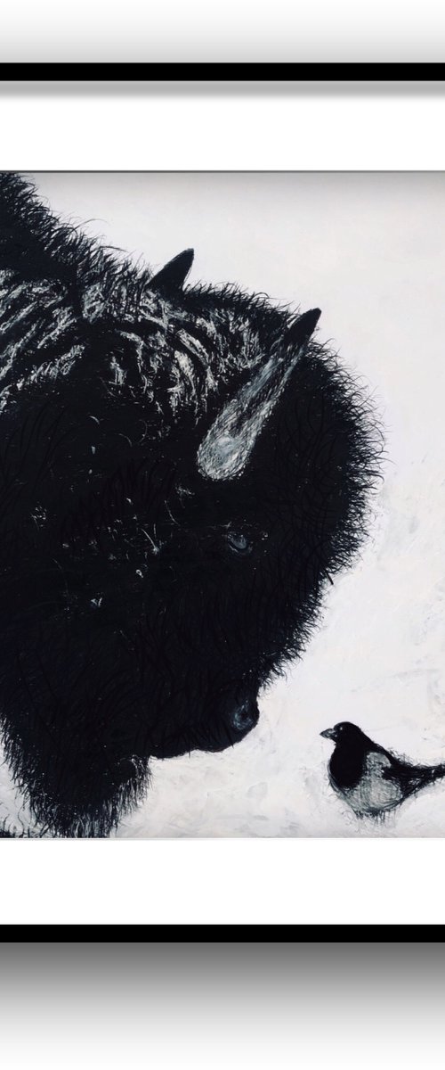 Bison And A Magpie by Shabs  Beigh