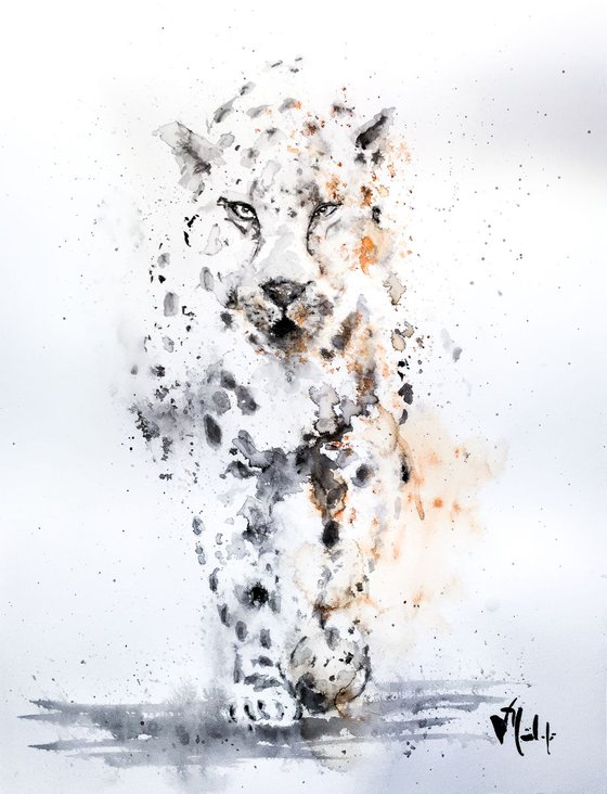 The snow leopard