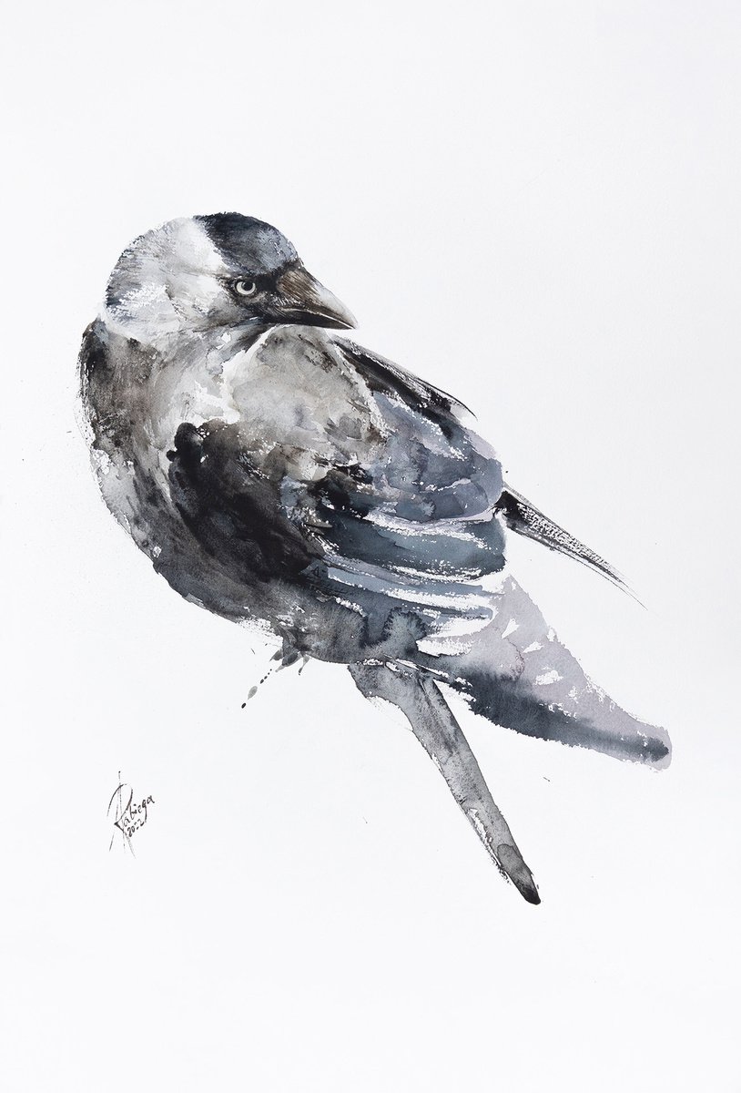 Animal Watercolour By Andrzej Rabiega, 15 X 22, Jackdaw, Original Artwork