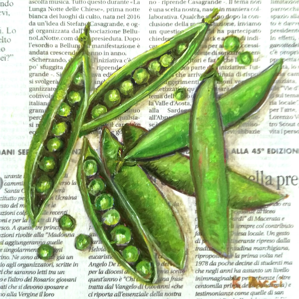 Pea Pods on Newspaper Original Oil on Canvas Board Painting 6 by 6 inches (15x15 cm) by Katia Ricci