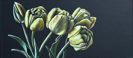 Yellow Tulips