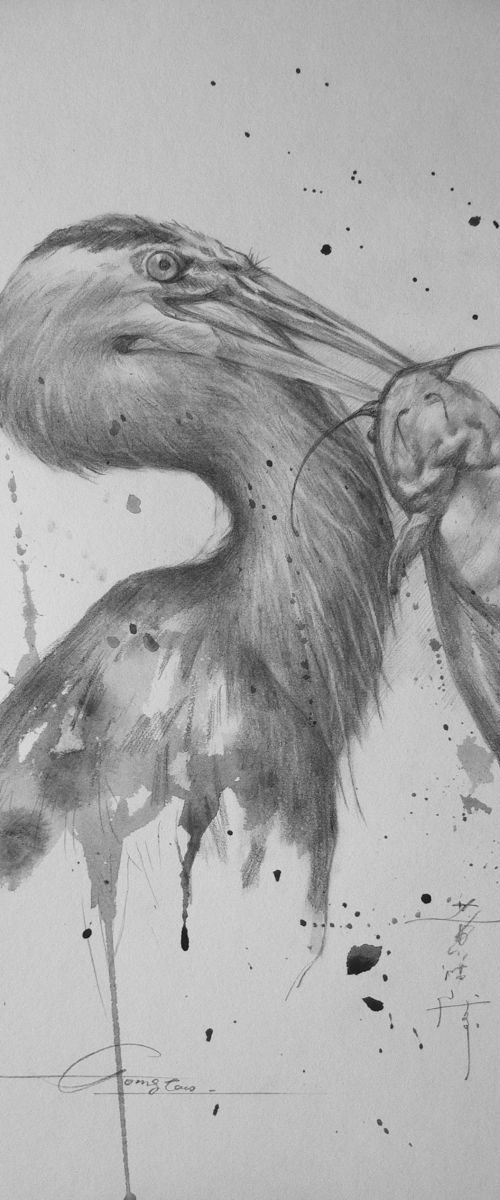 Animal drawing  pencil  Grey Heron  #17331 by Hongtao Huang