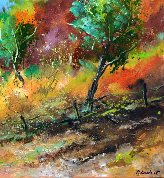 Orchard  in autumn - 7723