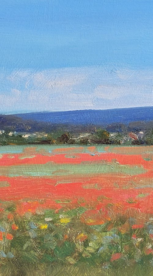 Poppy Fields in the Luberon by Pascal Giroud