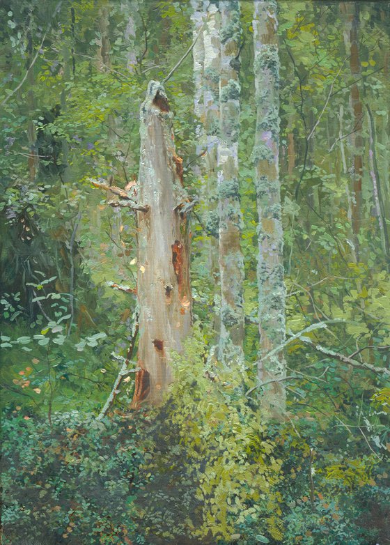 Dead Tree