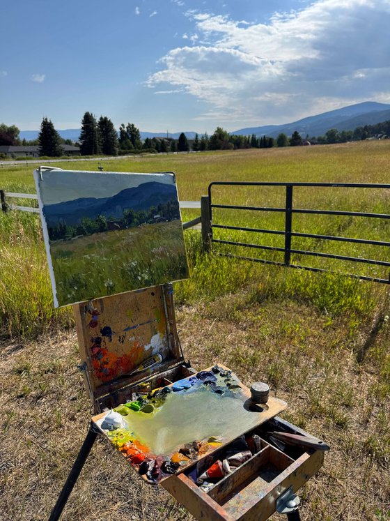 Summer Meadow