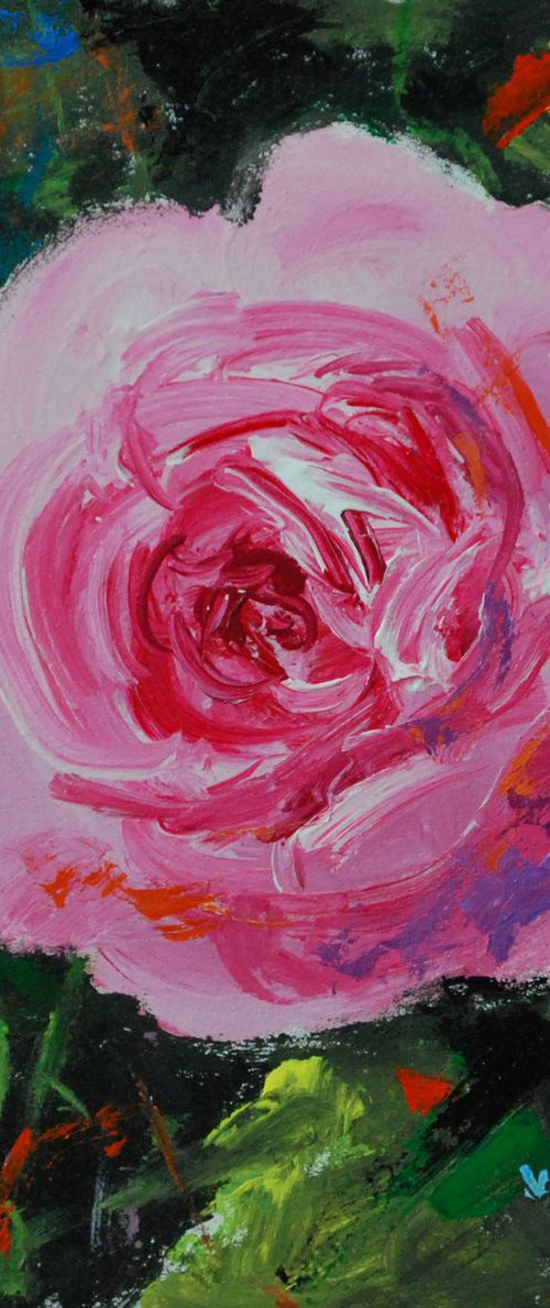 Rose by Vishalandra Dakur