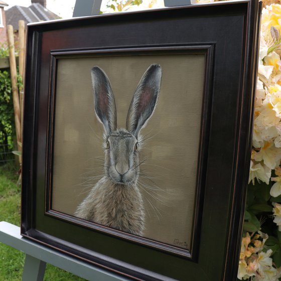 Portrait of a Hare I