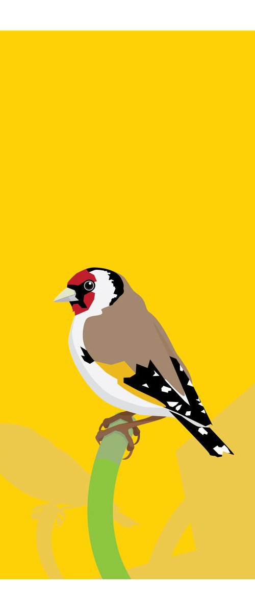 The Goldfinch unchained by David Gill