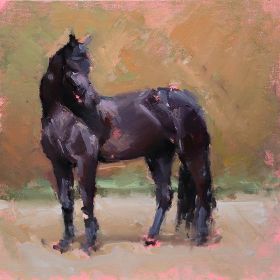 Black Horse Study