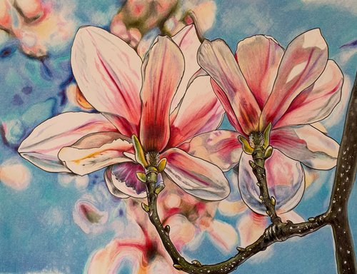 Magnolia by Karen Elaine  Evans