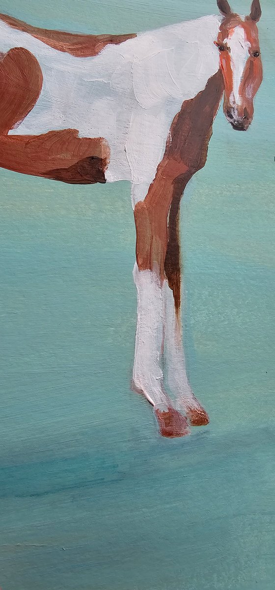 Pinto horse on aqua blue