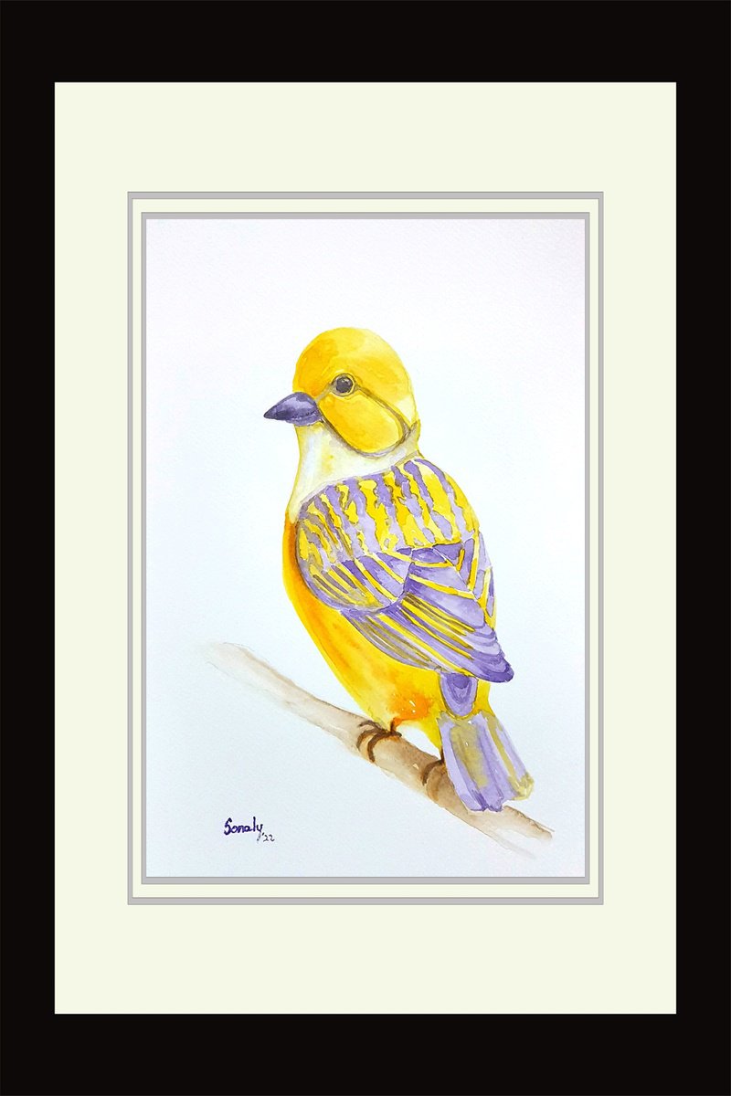 Illustrative Animal Watercolour By Sonaly Gandhi, 9 X 13", Watercolor - Birds 4, Original Artwork