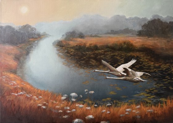 Swan lake