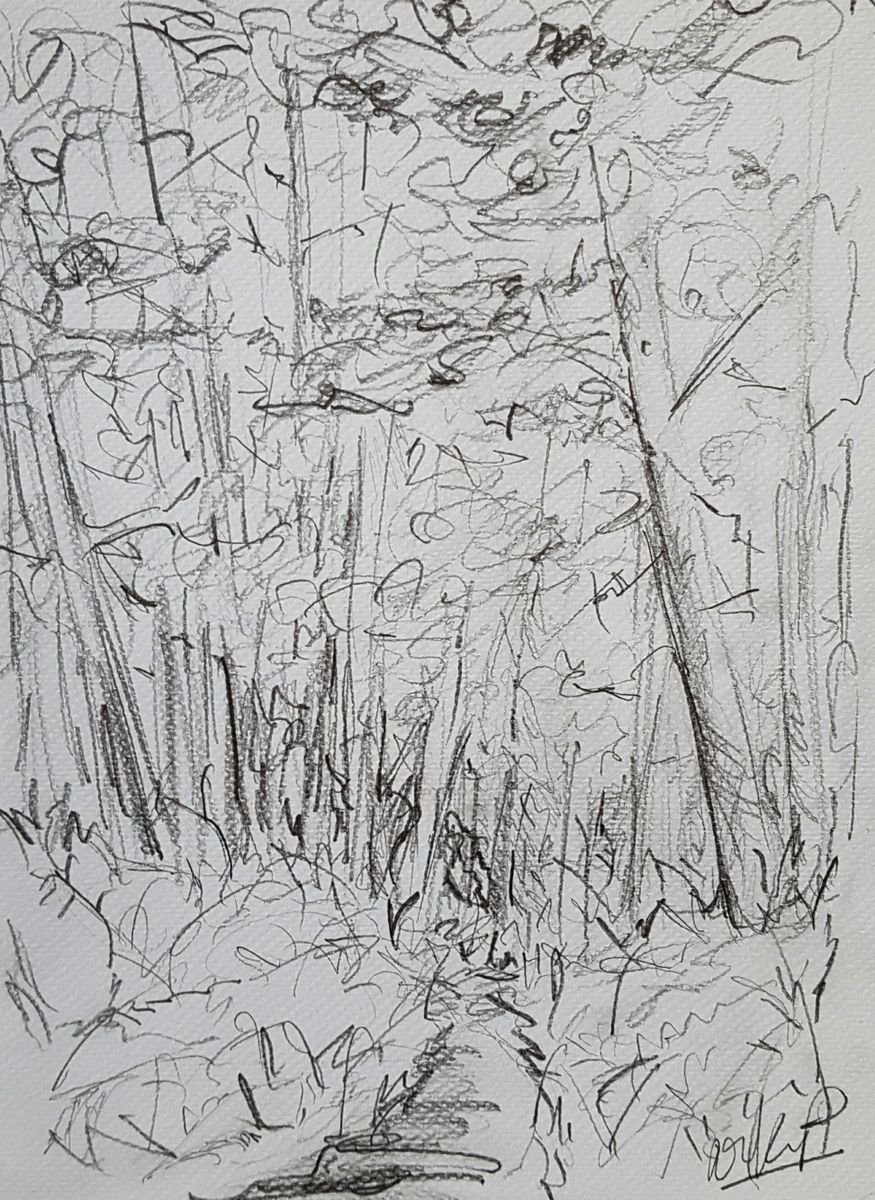 Walk in the woods - Pencil on Watercolour paper by Niki Purcell - Irish Landscape Painting