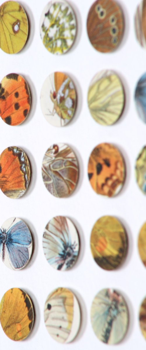 Original Butterfly Dots Mixed Media 3d Collage by Amelia Coward