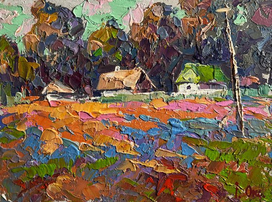 Colourful fields and village