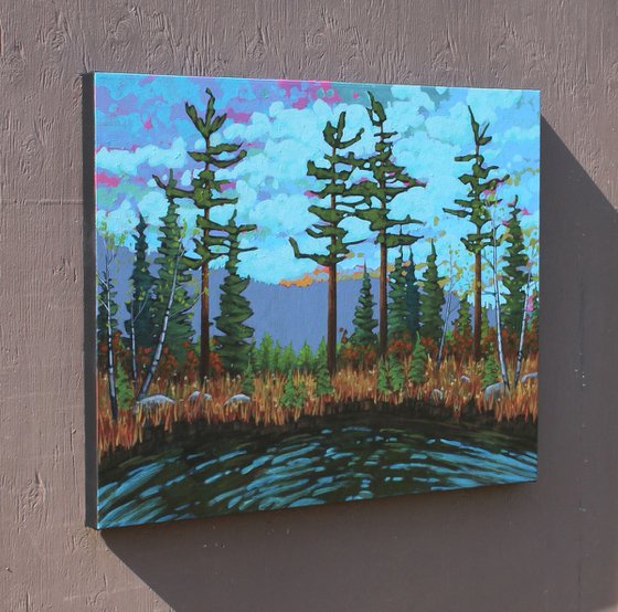 A Day in the Wilderness