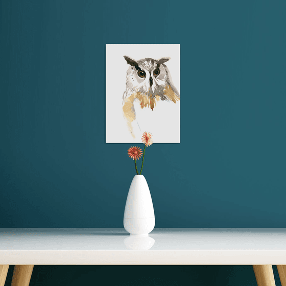 Owl