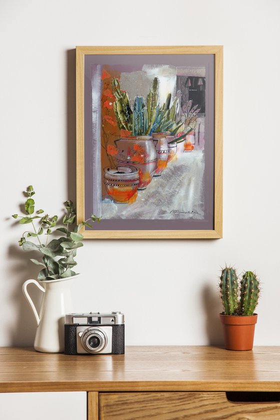 Cacti in Terracota Pots